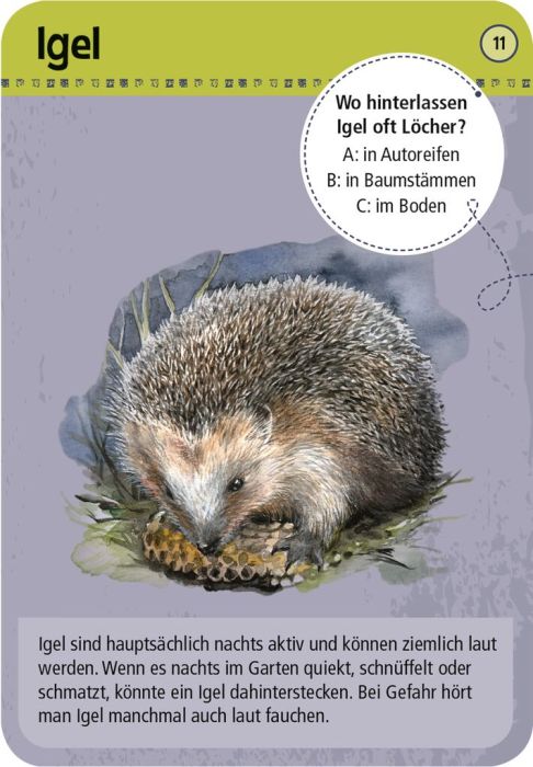 Expedition Natur: 50 Tiere der Nacht