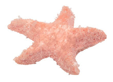 Lade das Bild in den Galerie-Viewer, Funkelndes Kristalle-Wachstumsset, Orange Seestern