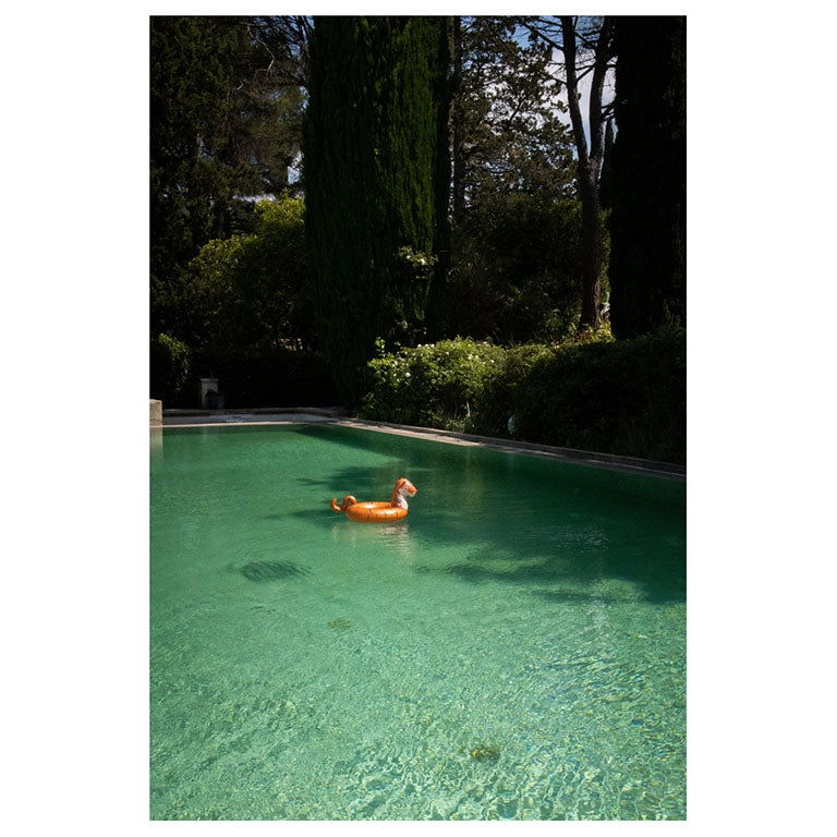Swim Ring ''Tiger''
