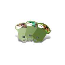 Lade das Bild in den Galerie-Viewer, Kidywolf Projektorfolien, Dschungel