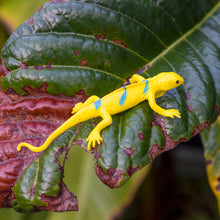 Load image into Gallery viewer, Super Stretchy Toy Gecko, Assorted