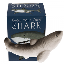 Load image into Gallery viewer, Hatching Egg ''Grow Your Own Shark''