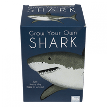 Load image into Gallery viewer, Hatching Egg ''Grow Your Own Shark''