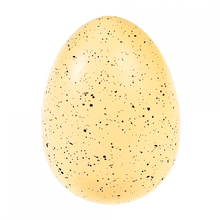 Load image into Gallery viewer, Hatching Egg ''Grow Your Own Shark''