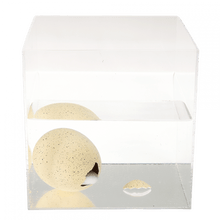 Load image into Gallery viewer, Hatching Egg ''Grow Your Own Shark''