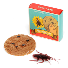 Load image into Gallery viewer, Joke Cookie