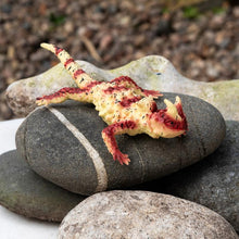 Load image into Gallery viewer, Toy Lizard ''Realistic Horned Lizard''
