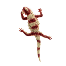 Load image into Gallery viewer, Toy Lizard ''Realistic Horned Lizard''