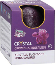 Load image into Gallery viewer, Crystal Dinosaur Growing Kit, Spinosaurus