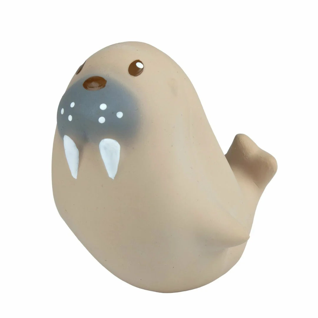 Teether Rattle & Bath Toy, Sea Lion