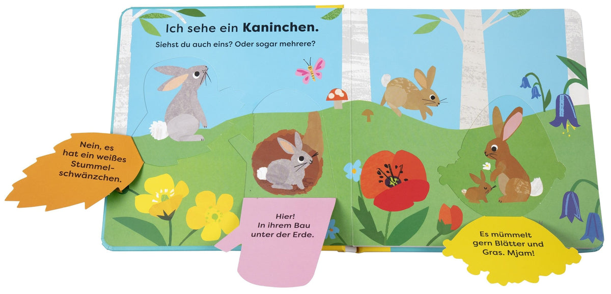 Da! Ein Fuchs Book, 18 Months +