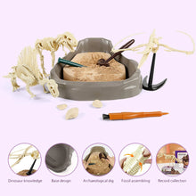 Lade das Bild in den Galerie-Viewer, Fossilien-Ausgrabungsset „T Rex“