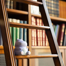 Load image into Gallery viewer, Legami Stress Ball, Hippo