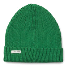 Load image into Gallery viewer, Ezra Beanie Hat ''Amazon Grass''