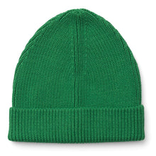 Load image into Gallery viewer, Ezra Beanie Hat ''Amazon Grass''