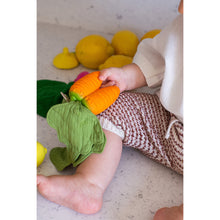 Load image into Gallery viewer, Baby Teether ''Cathy the Carrot''