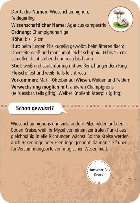 German informational card about Wiesenchampignon (Agaricus campestris) with botanical description, growth details etc