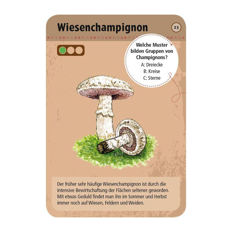 A single educational card about the wild mushroom Wiesenchampignon, featuring a tan background, German text, and an illustration of two mushrooms on a small patch of green grass.