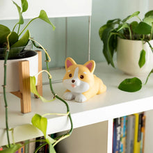 Load image into Gallery viewer, Legami Stress Ball, Corgi