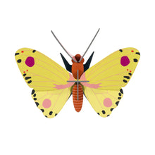 Lade das Bild in den Galerie-Viewer, Wanddekoration „Luzerne-Schmetterling“