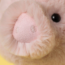 Load image into Gallery viewer, Jellycat ''Smudge Pig'', Soft Toy
