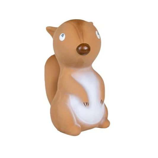 Teether Rattle & Bath Toy, Squirrel