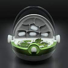 Lade das Bild in den Galerie-Viewer, Insektenwachstumsstation