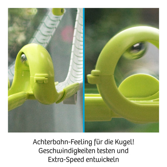 Gecko Run, Ball Run Loop