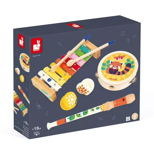 Musical Instrument Set ''Gioia'' 18 Months +