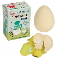 Load image into Gallery viewer, Hatching Dinosaur Egg