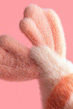 Lade das Bild in den Galerie-Viewer, Jellycat Fancy Karpfen, Plüschtier