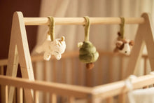 Load image into Gallery viewer, Baby Gym Toys, Tiny Park