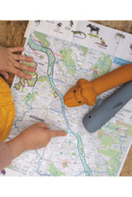 Load image into Gallery viewer, Flashlight, Lion