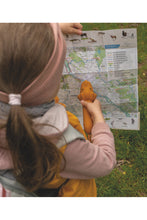 Load image into Gallery viewer, Flashlight, Lion