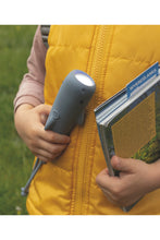 Load image into Gallery viewer, Flashlight, Sharky