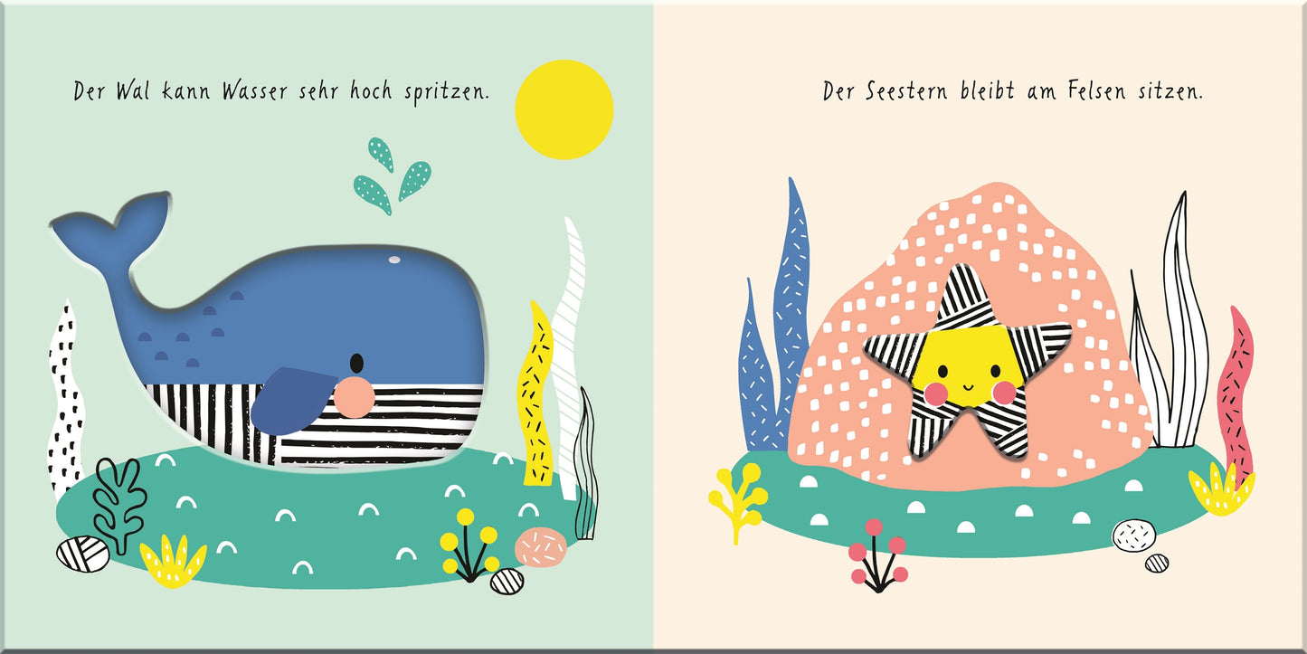 Meine ersten Tiere. Tiere im Meer Buch, 6 Monate +