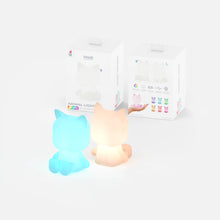 Load image into Gallery viewer, Colour Changing Night Light ''Dino''