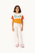 Load image into Gallery viewer, T Shirt ''Tiny Color Block''