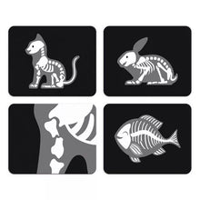 Lade das Bild in den Galerie-Viewer, Spiele Tierarztes Fall