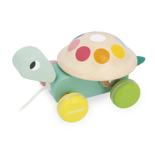 Colorful wooden turtle toy with colorful shell