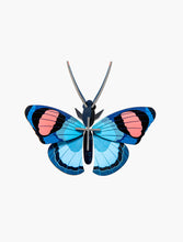 Load image into Gallery viewer, Studio Roof ''Peacock Butterfly'' Wall Decoration