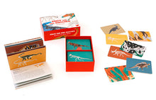 Lade das Bild in den Galerie-Viewer, ''Dinos und ihre Knochen'' Memory-Spiel, deutsche Sprache