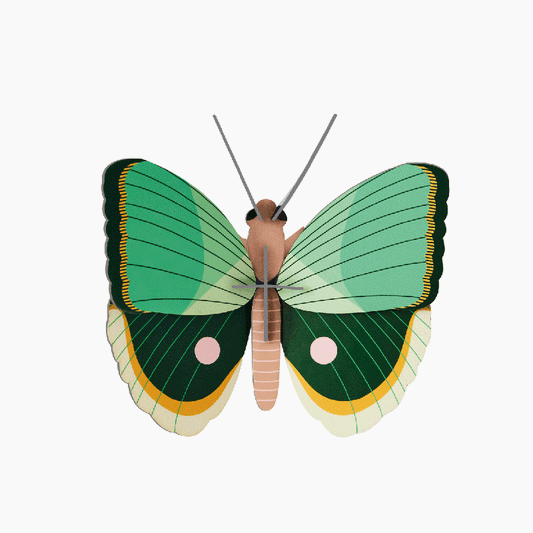 Dekoration ''Farn gestreifter Schmetterling''