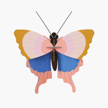 Load image into Gallery viewer, Decoration ''Gold Rim Butterfly''