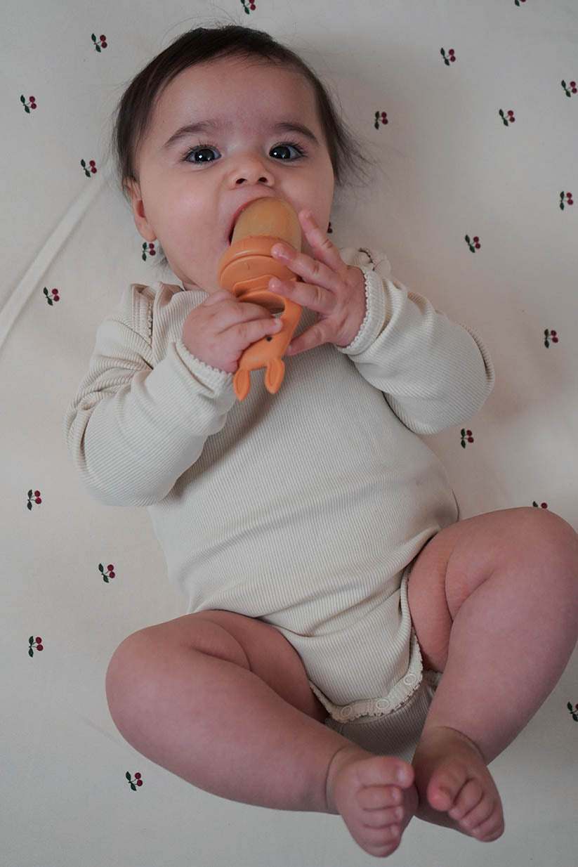 Fruit Feeding Pacifier ''Almond / Terracotta''