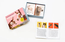 Load image into Gallery viewer, ''Klein & groß'' Game, German Language