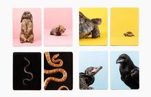 Load image into Gallery viewer, ''Klein & groß'' Game, German Language