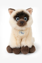Load image into Gallery viewer, B. T. Chaps Eddie the Siamese Cat in Giftbox
