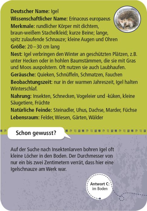 Expedition Natur: 50 Tiere der Nacht