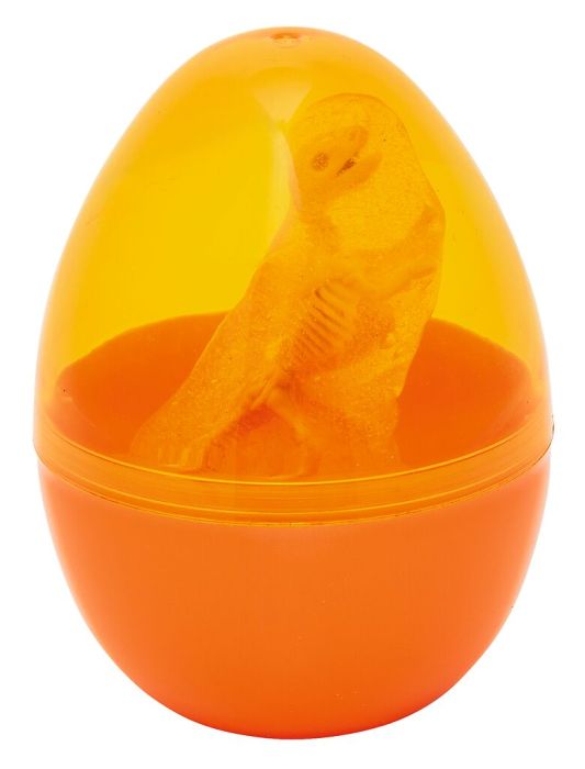 T Rex Amber Fossil Toy